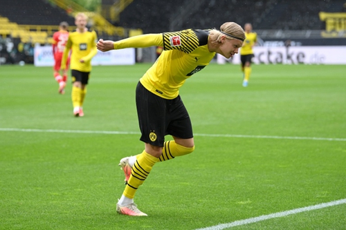 共为球队打 共为球队打