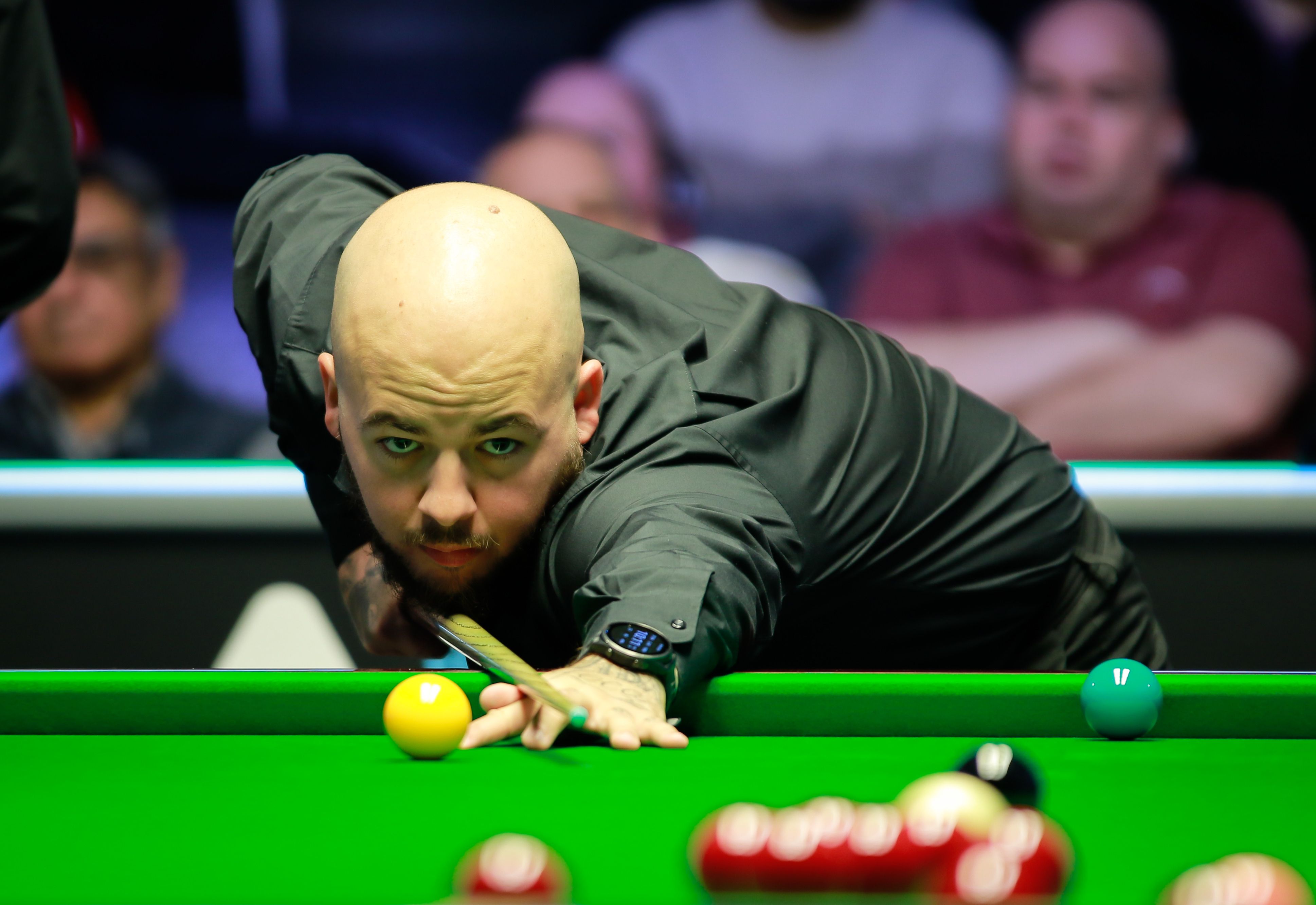 他们所在的 他们所在的