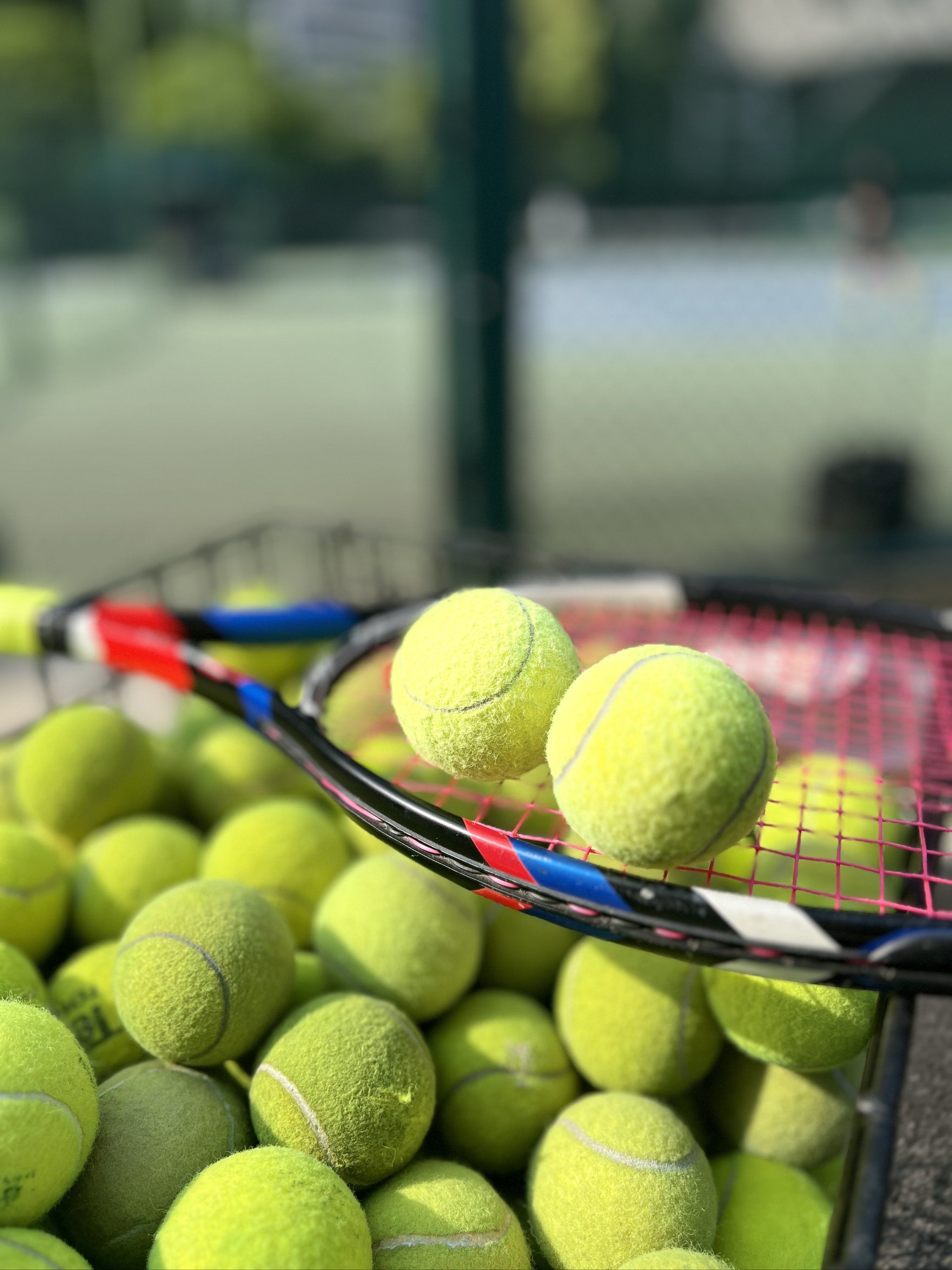 凭借优异的 凭借优异的