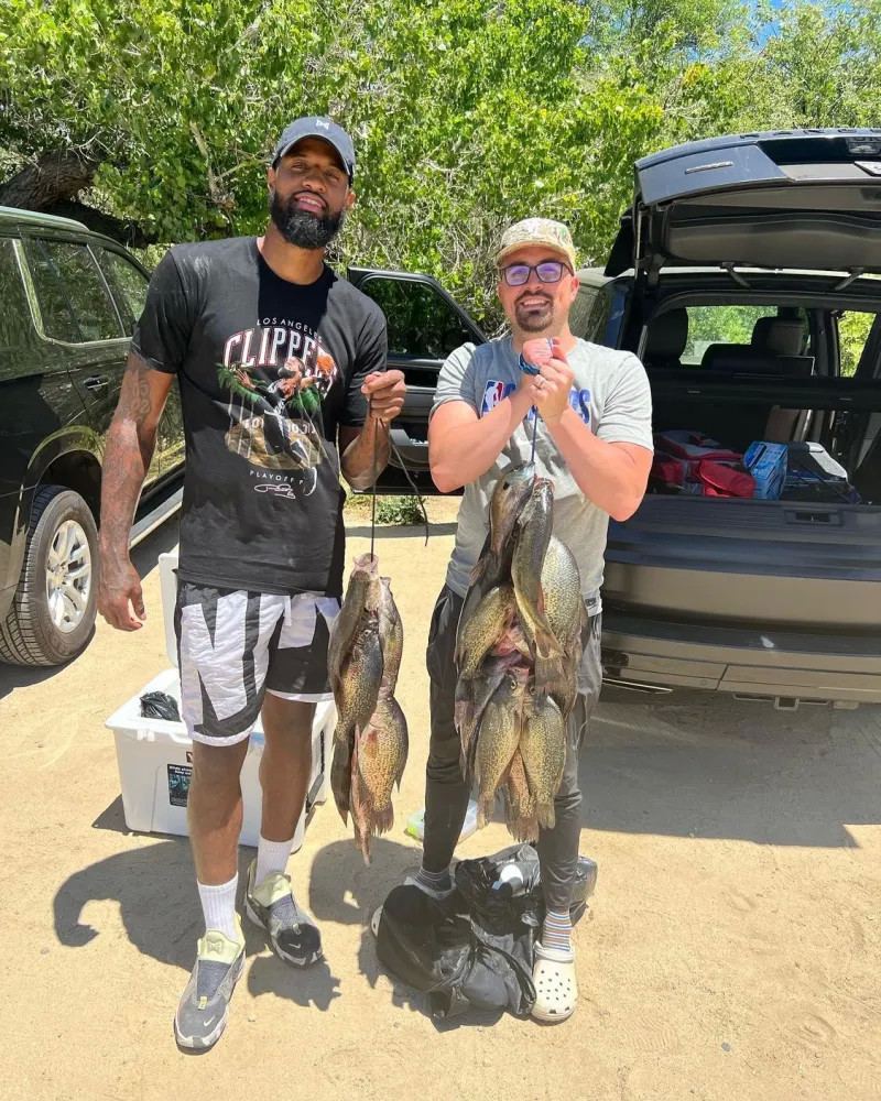 高星武器与 高星武器与